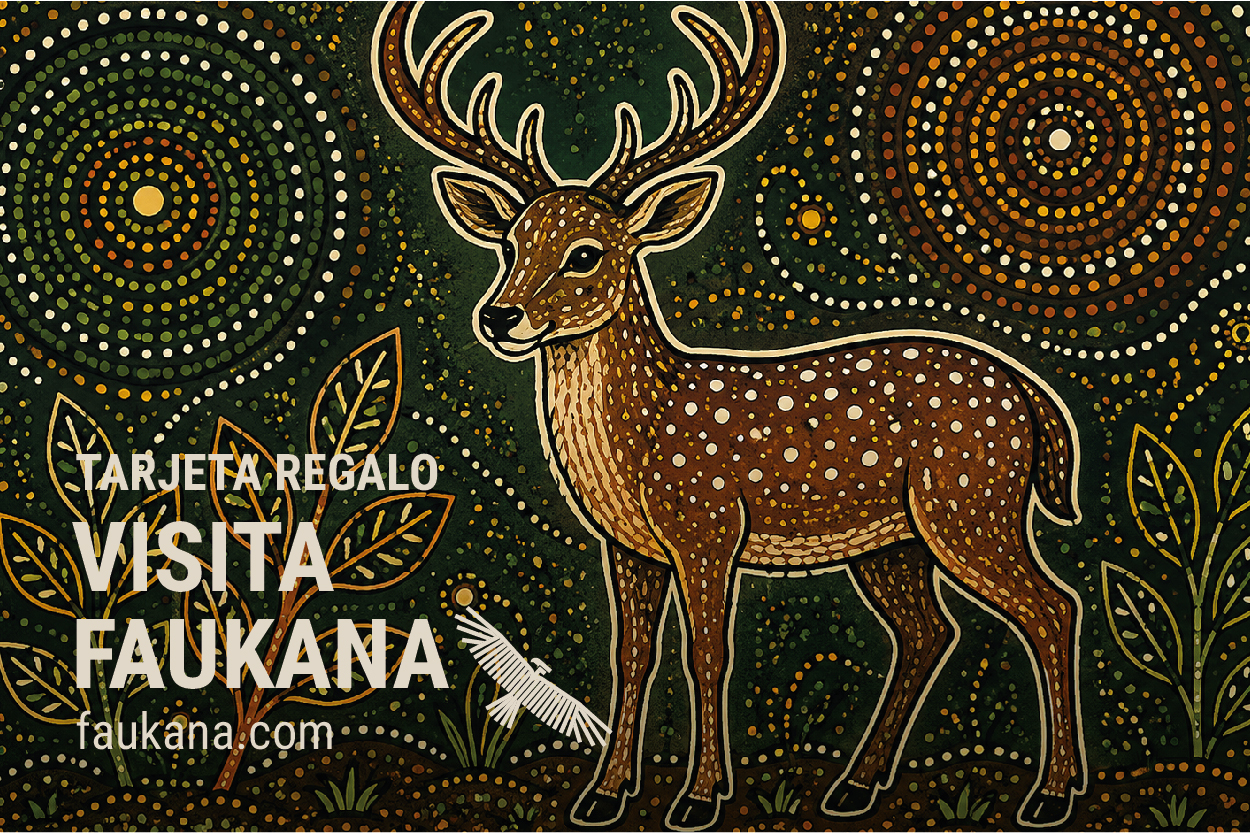 Tarjetas Regalo Visitas Faukana Platarforma TATO-15.jpg